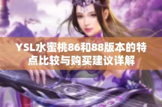 YSL水蜜桃86和88版本的特点比较与购买建议详解