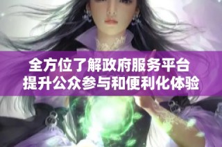 全方位了解政府服务平台 提升公众参与和便利化体验