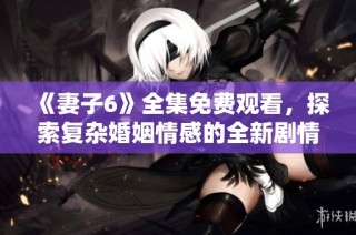 《妻子6》全集免费观看，探索复杂婚姻情感的全新剧情旅程