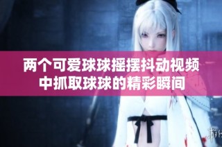 两个可爱球球摇摆抖动视频中抓取球球的精彩瞬间