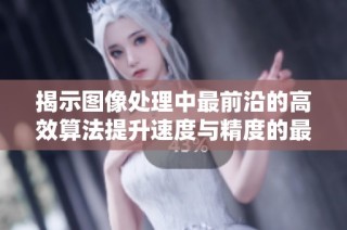 揭示图像处理中最前沿的高效算法提升速度与精度的最新进展