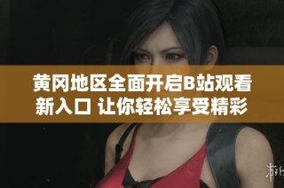 黄冈地区全面开启B站观看新入口 让你轻松享受精彩内容