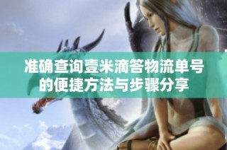 准确查询壹米滴答物流单号的便捷方法与步骤分享
