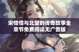 宋惜惜与北望的传奇故事全章节免费阅读无广告版