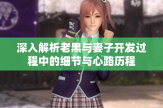 深入解析老黑与妻子开发过程中的细节与心路历程