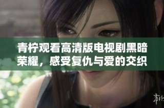 青柠观看高清版电视剧黑暗荣耀，感受复仇与爱的交织之旅