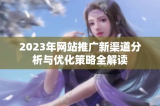 2023年网站推广新渠道分析与优化策略全解读
