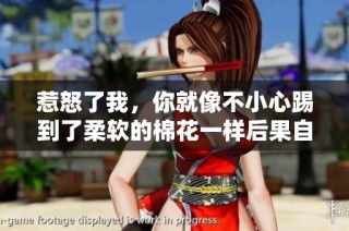 惹怒了我，你就像不小心踢到了柔软的棉花一样后果自负