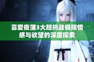 喜爱夜蒲3大胆挑战极限情感与欲望的深度探索