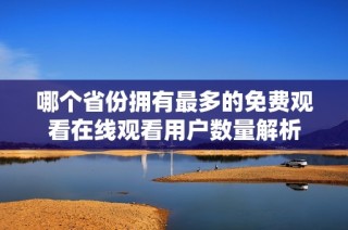哪个省份拥有最多的免费观看在线观看用户数量解析