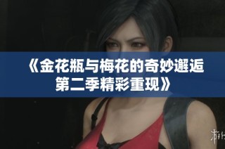 《金花瓶与梅花的奇妙邂逅第二季精彩重现》