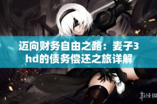 迈向财务自由之路：麦子3hd的债务偿还之旅详解