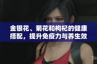 金银花、菊花和枸杞的健康搭配，提升免疫力与养生效果
