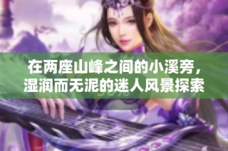 在两座山峰之间的小溪旁，湿润而无泥的迷人风景探索之旅