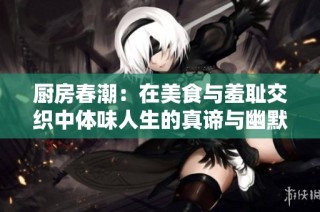 厨房春潮：在美食与羞耻交织中体味人生的真谛与幽默