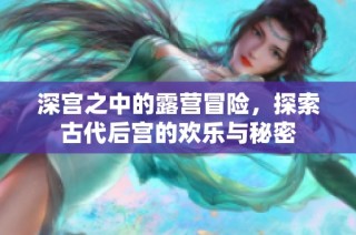 深宫之中的露营冒险，探索古代后宫的欢乐与秘密