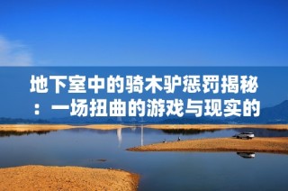 地下室中的骑木驴惩罚揭秘：一场扭曲的游戏与现实的交织