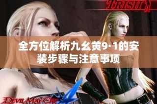全方位解析九幺黄9·1的安装步骤与注意事项