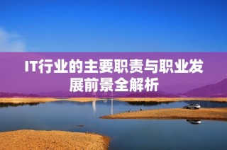 IT行业的主要职责与职业发展前景全解析