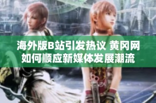 海外版B站引发热议 黄冈网如何顺应新媒体发展潮流