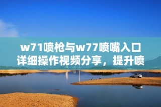 w71喷枪与w77喷嘴入口详细操作视频分享，提升喷涂效果的必看内容