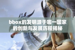bbox的发明源于哪一国家的创新与发展历程揭秘