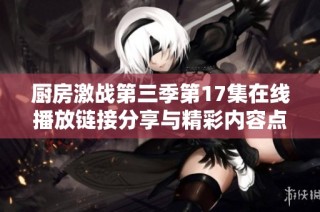 厨房激战第三季第17集在线播放链接分享与精彩内容点评