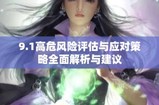 9.1高危风险评估与应对策略全面解析与建议