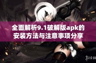 全面解析9.1破解版apk的安装方法与注意事项分享