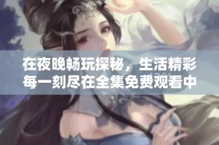 在夜晚畅玩探秘，生活精彩每一刻尽在全集免费观看中