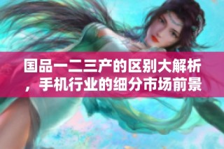 国品一二三产的区别大解析，手机行业的细分市场前景揭秘
