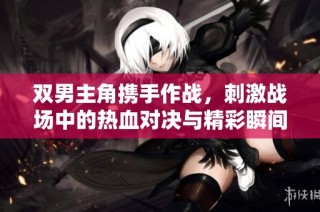 双男主角携手作战，刺激战场中的热血对决与精彩瞬间解析