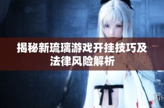揭秘新琉璃游戏开挂技巧及法律风险解析