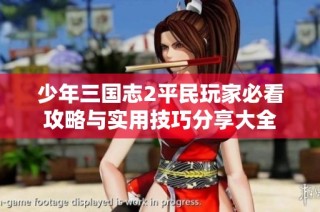 少年三国志2平民玩家必看攻略与实用技巧分享大全