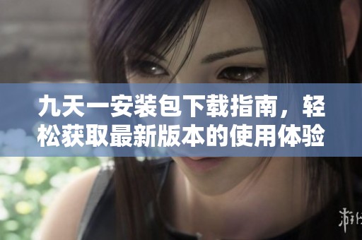 九天一安装包下载指南，轻松获取最新版本的使用体验
