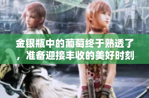 金银瓶中的葡萄终于熟透了，准备迎接丰收的美好时刻