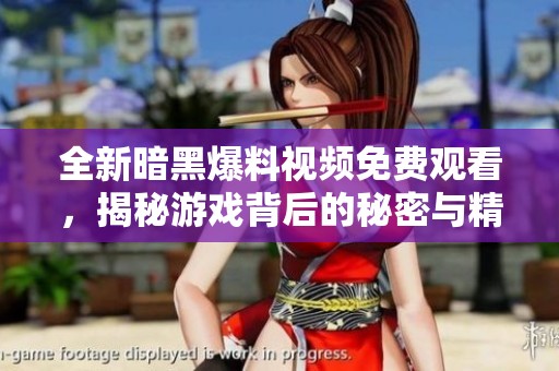 全新暗黑爆料视频免费观看，揭秘游戏背后的秘密与精彩内容