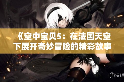 《空中宝贝5：在法国天空下展开奇妙冒险的精彩故事》