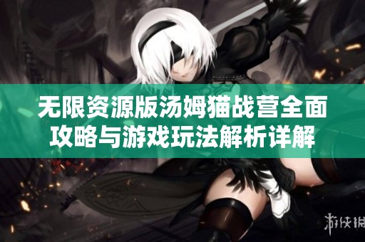无限资源版汤姆猫战营全面攻略与游戏玩法解析详解