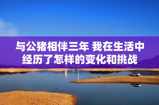 与公猪相伴三年 我在生活中经历了怎样的变化和挑战