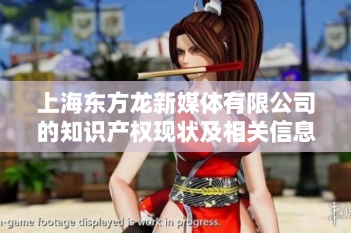 上海东方龙新媒体有限公司的知识产权现状及相关信息分析