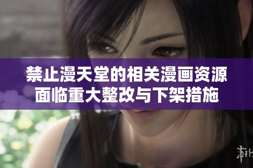 禁止漫天堂的相关漫画资源面临重大整改与下架措施