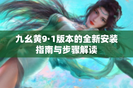 九幺黄9·1版本的全新安装指南与步骤解读