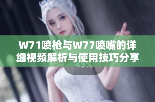 W71喷枪与W77喷嘴的详细视频解析与使用技巧分享