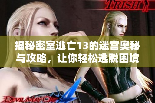 揭秘密室逃亡13的迷宫奥秘与攻略，让你轻松逃脱困境