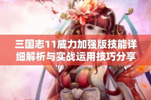 三国志11威力加强版技能详细解析与实战运用技巧分享