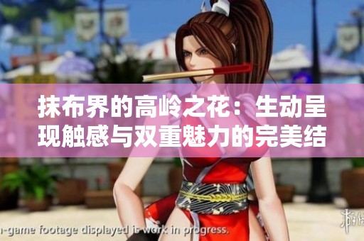 抹布界的高岭之花：生动呈现触感与双重魅力的完美结合