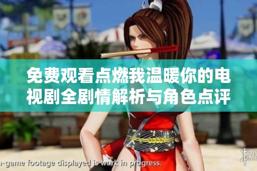 免费观看点燃我温暖你的电视剧全剧情解析与角色点评分享
