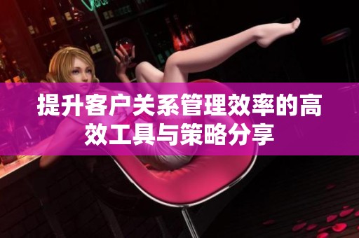 提升客户关系管理效率的高效工具与策略分享
