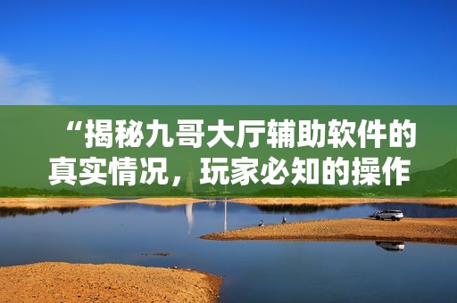 “揭秘九哥大厅辅助软件的真实情况，玩家必知的操作风险”